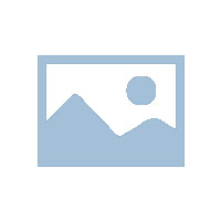 網站優化技術和策略